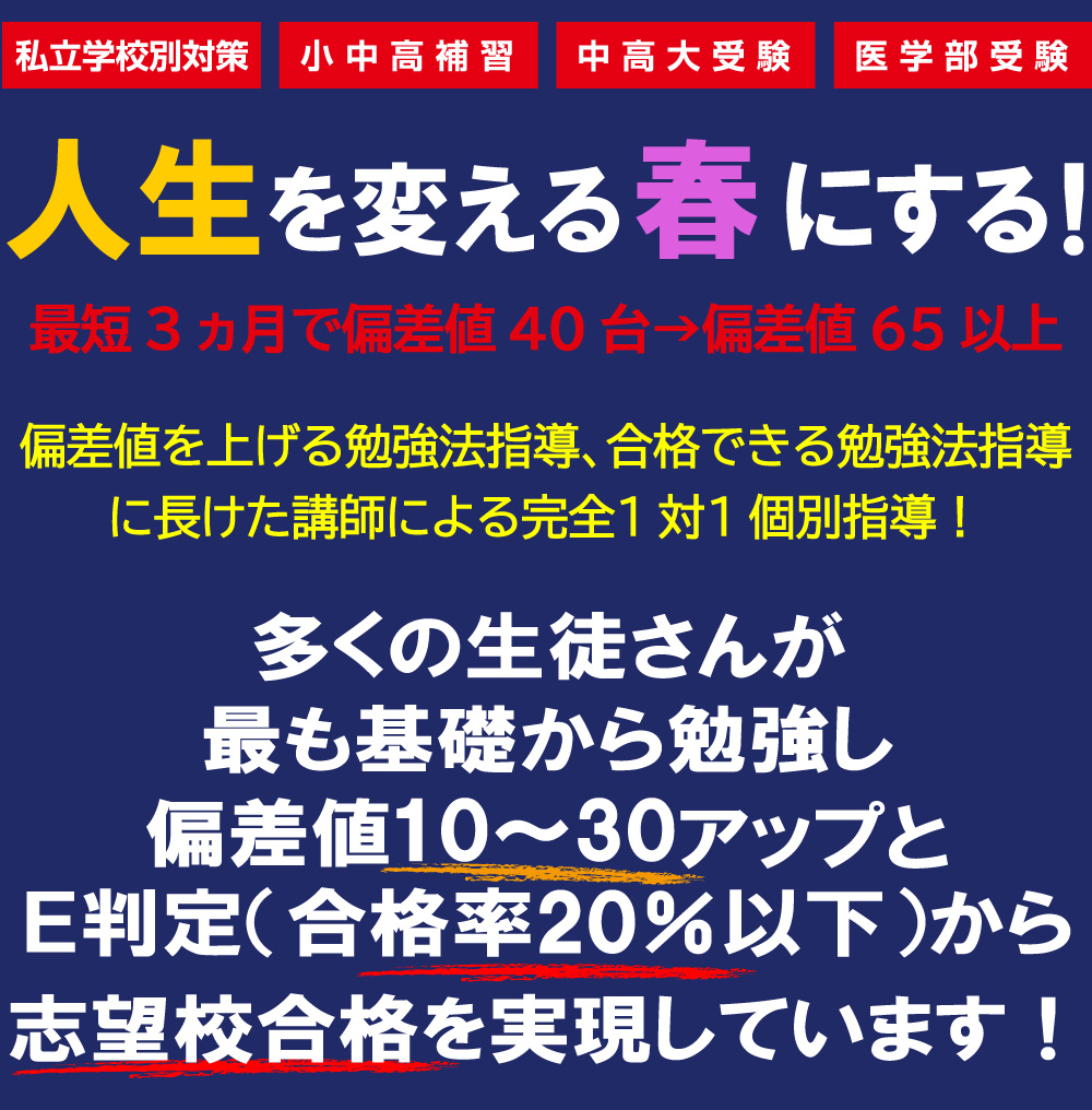 偏差値の10~30アップ